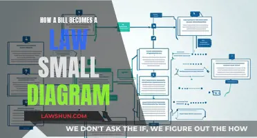 The Legislative Process: A Visual Guide to Lawmaking