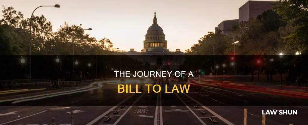 how a bill becomes a law smulation