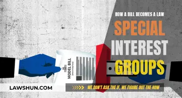 Special Interest Groups: How a Bill Becomes a Law