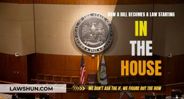 The House to Law: A Bill's Journey