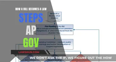 The Legislative Process: How Bills Become Laws