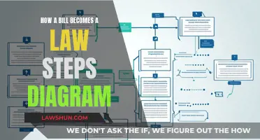 Understanding the Process: A Bill's Journey to Law