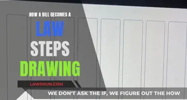 Understanding the Legislative Process: Visual Guide to Lawmaking