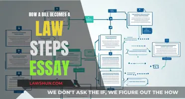 The Legislative Process: How a Bill Becomes Law