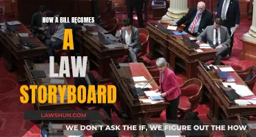 The Storyboard: Bill to Law, Explained