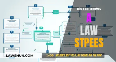 Understanding the Steps of a Bill Becoming Law