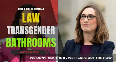 Understanding the Law: Transgender Bathroom Rights and Bills