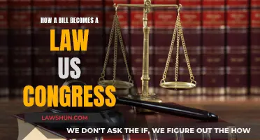 Understanding the US Congress: Bills to Laws