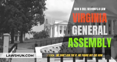 The Journey of a Bill to Law in Virginia