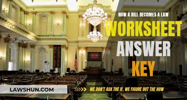 Understanding the Legislative Process: Bill to Law Worksheet