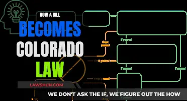 Understanding the Process: Colorado Lawmaking