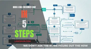 Understanding Lawmaking: 5 Steps to a Bill's Passage