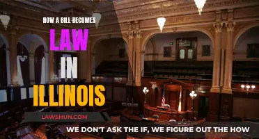 Illinois Lawmaking: Understanding the Bill Process