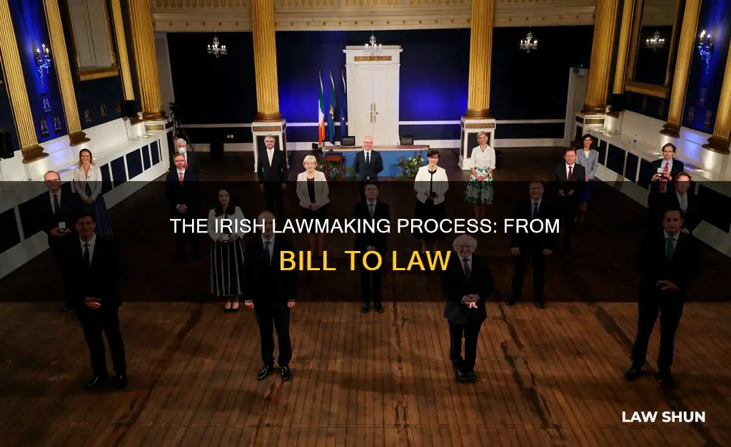 how a bill becomes law in ireland