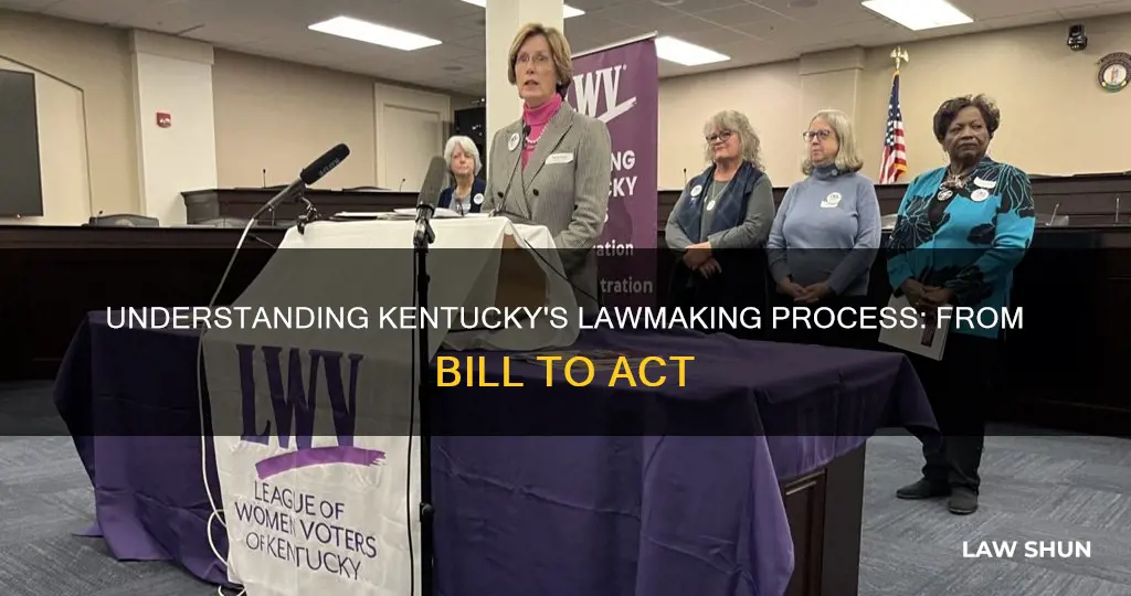 how a bill becomes law in kentucky