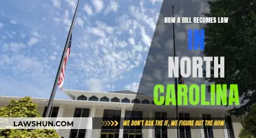 Understanding North Carolina's Lawmaking Process