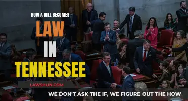 Tennessee's Lawmaking Process: Bills to Acts