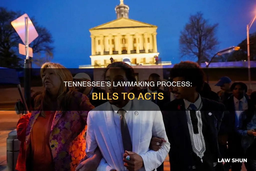 how a bill becomes law in tennessee