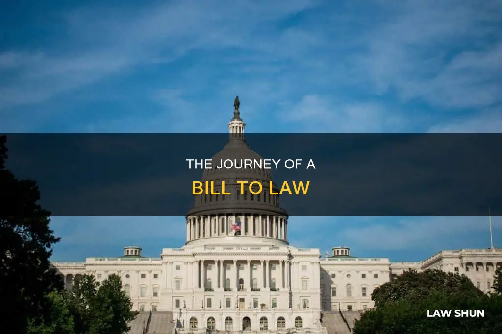 how a bill becomes law infograph