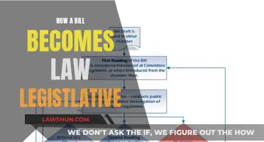 The Legislative Process: How a Bill Becomes Law