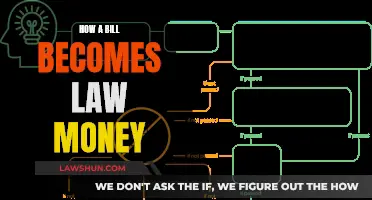 The Money Trail: Laws and Their Financial Journey