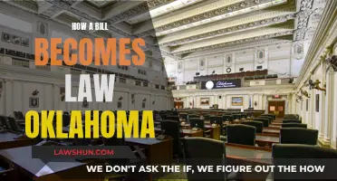 Oklahoma's Law-Making Process: A Bill's Journey