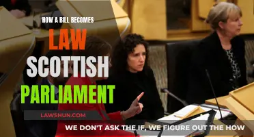 Understanding Scottish Lawmaking: A Guide to the Process