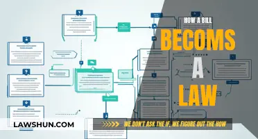 The Legislative Process: How Bills Become Laws