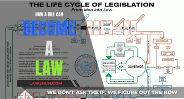 The Legislative Process: Bills to Laws