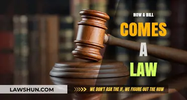 From Proposal to Law: The Journey of a Bill in Congress