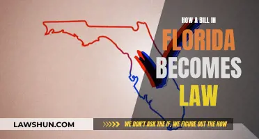 Florida's Lawmaking: A Guide to the Bill's Journey