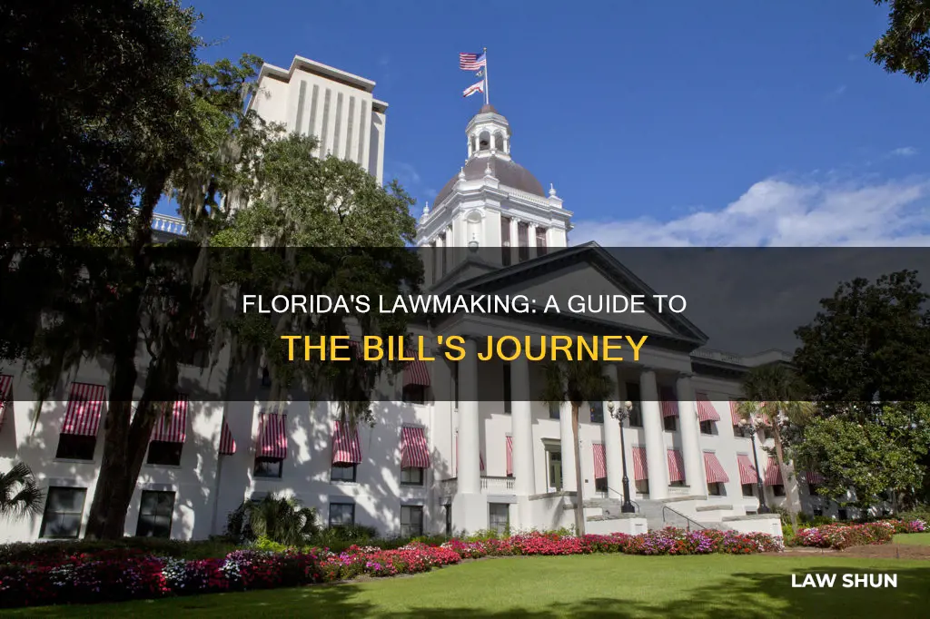 how a bill in florida becomes law