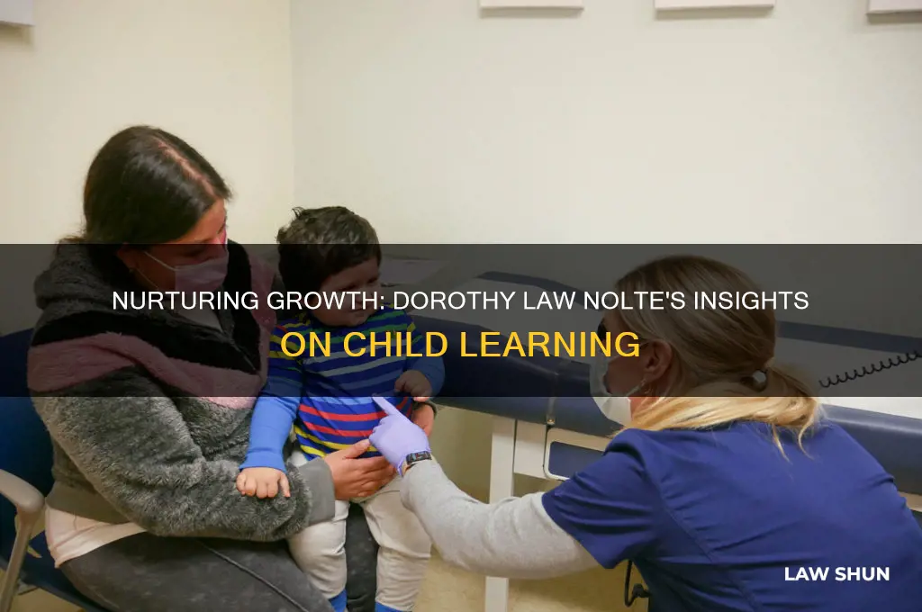 how a child learns by dorothy law nolte