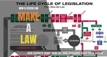 Crafting Laws: Citizen Power