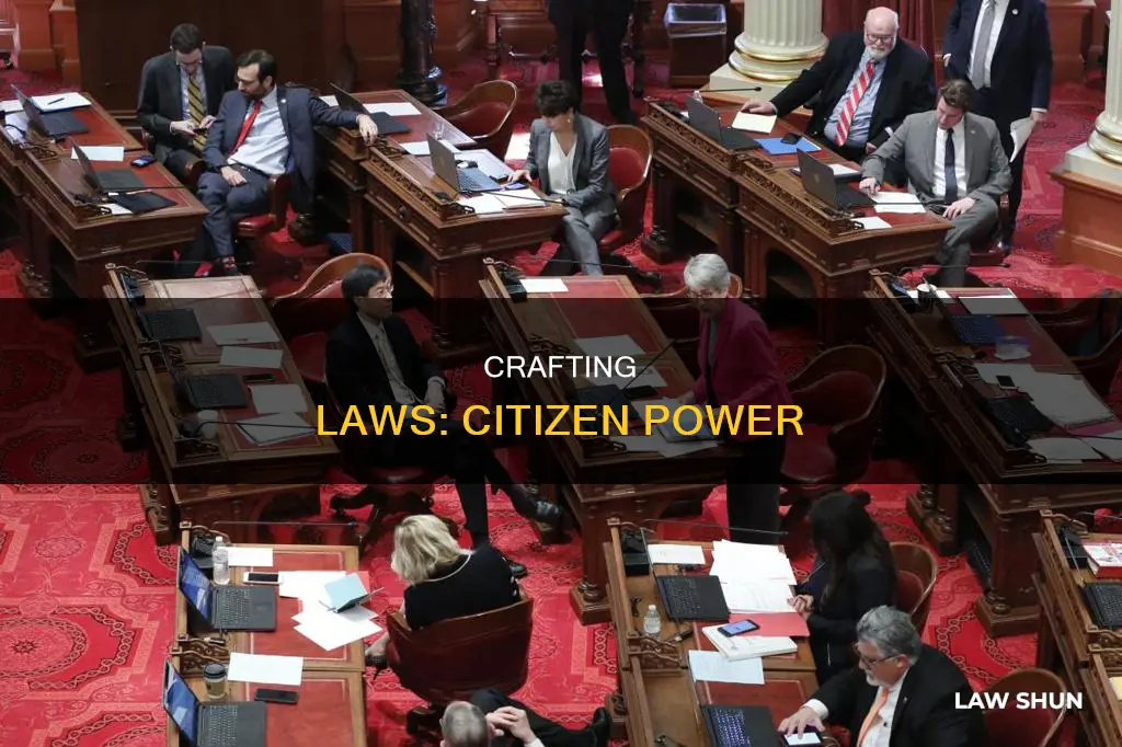 how a citizen can make a law