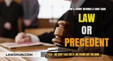 Understanding Court Decisions: Precedent and Case Law