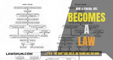 The Legislative Process: Federal Bill to Law