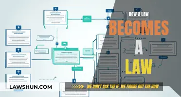 The Law-Making Process: How Laws are Made