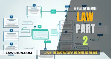 The Evolution of Laws: Understanding the Legislative Process