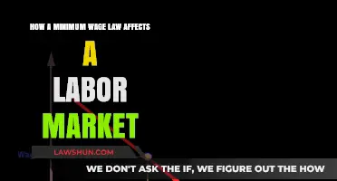 Minimum Wage Laws: Impact on Labor Market Dynamics Explained