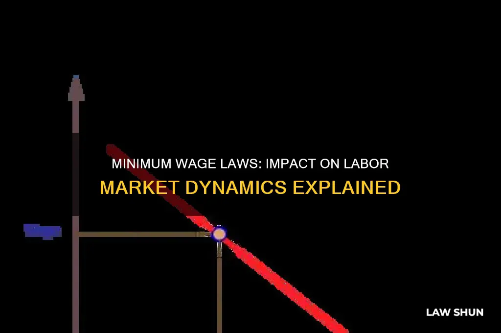 how a minimum wage law affects a labor market