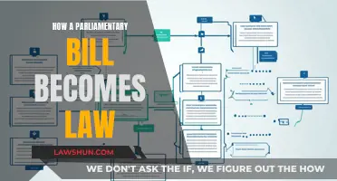 Parliamentary Bills: Becoming Law