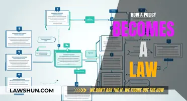 Policy to Law: Understanding the Legislative Process