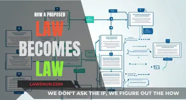 The Law-Making Process: From Proposal to Enactment