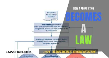 Proposition to Law: Understanding the Legislative Process