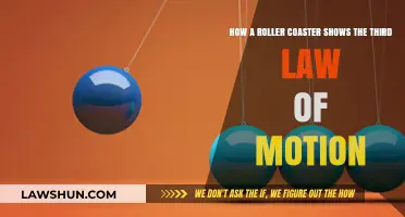 Roller Coaster Thrills: Newton's Third Law in Action