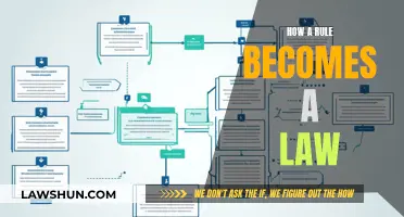 The Rule-to-Law Process: Understanding the Legal Journey