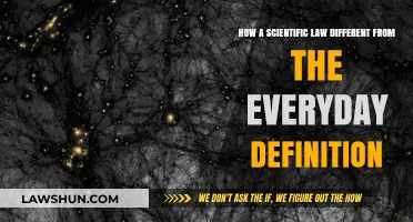 Science Laws: Precise vs. Everyday Language