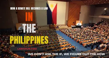 Philippine Senate: Bill to Law Process Explained