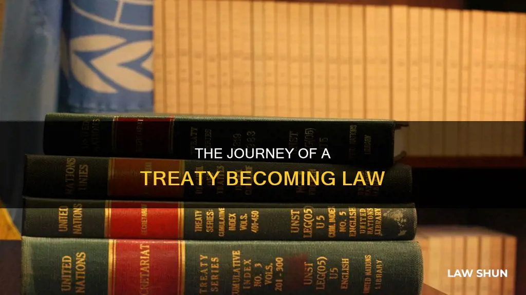 how a treaty becomes law